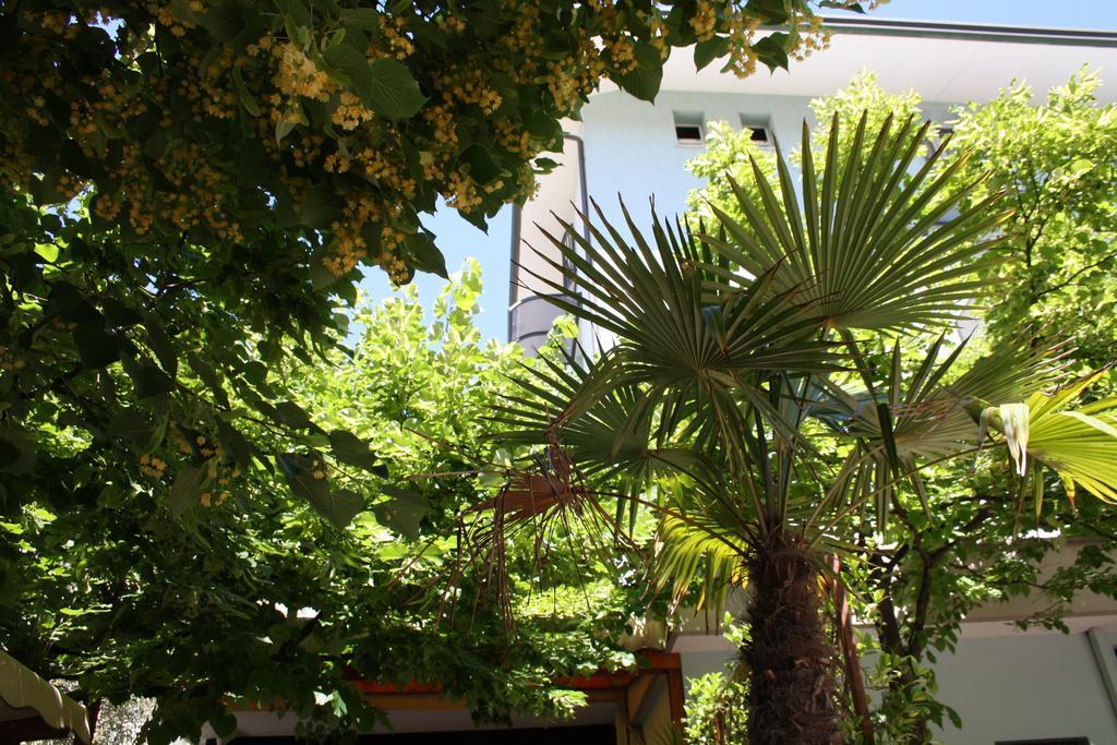 Hotel Villa Dei Gerani Rimini Exterior photo